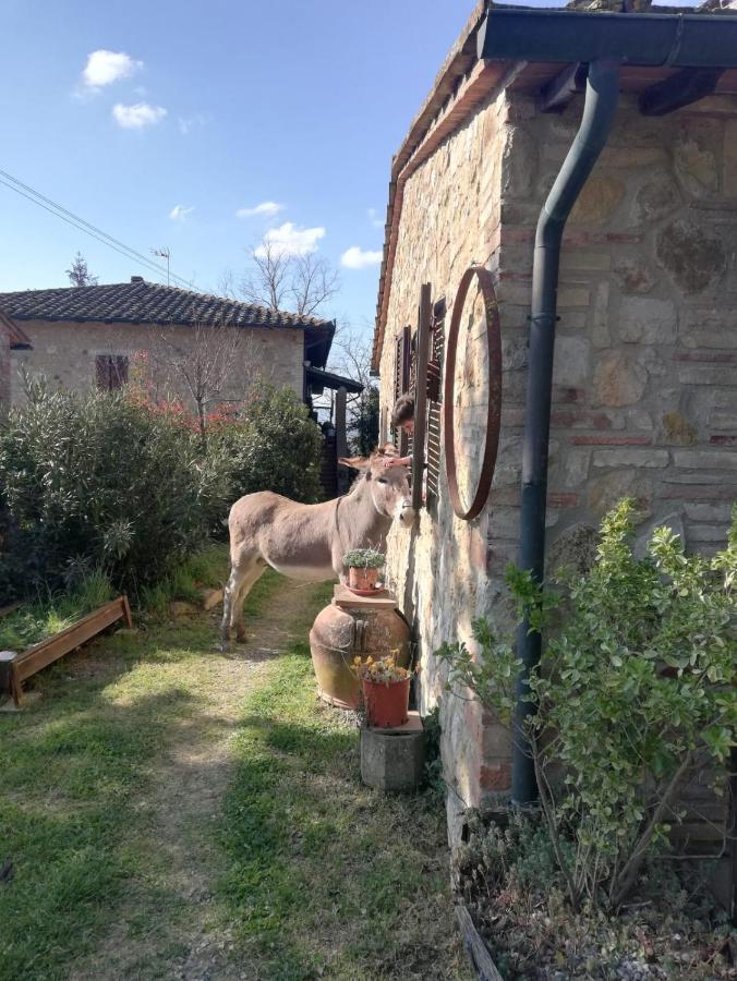 Agriturismo Grecinella Casole dʼElsa Exteriör bild