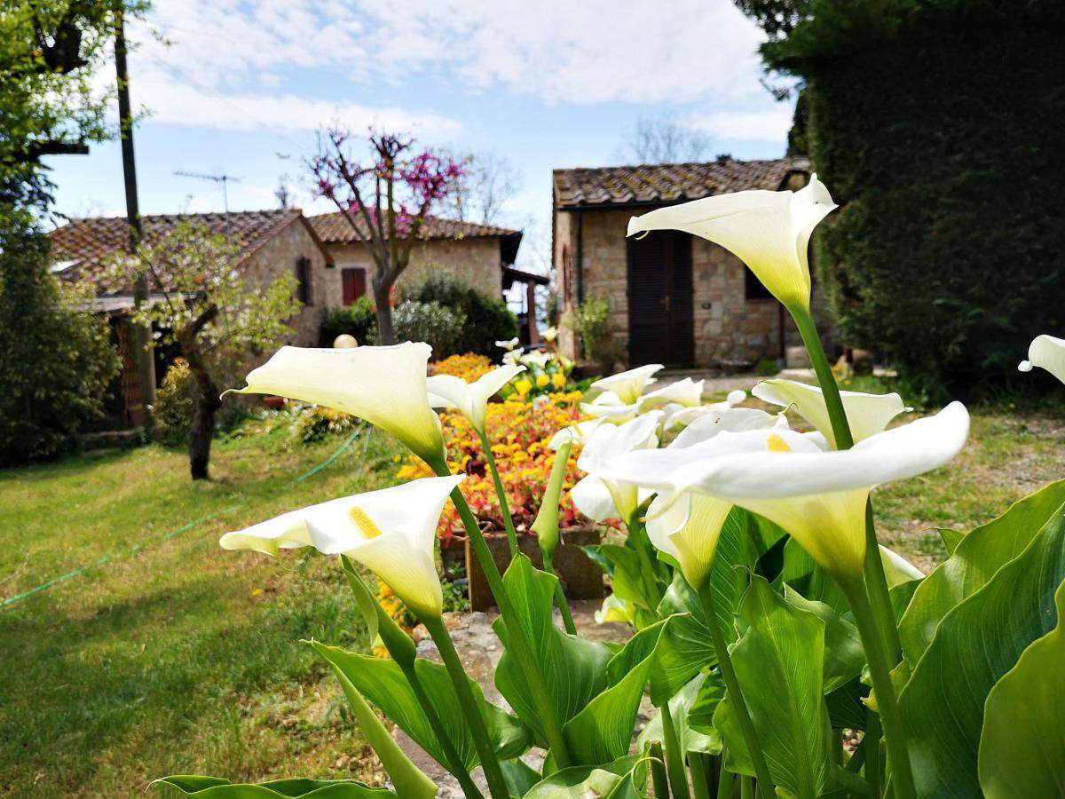 Agriturismo Grecinella Casole dʼElsa Exteriör bild
